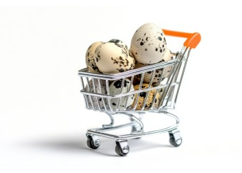 Vale a pena comprar ovos férteis pela internet? O que você precisa saber
